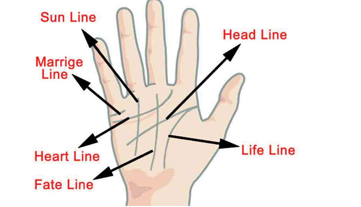 heart line,palmistry,astrology,astrology tips